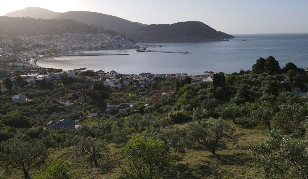 DJI_0623